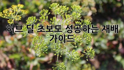 허브 딜, 초보도 성공하는 재배 가이드