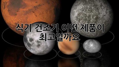 식기 건조기, 어떤 제품이 최고일까요?
